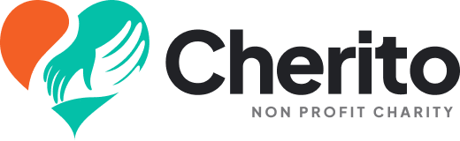 Citizens Information and Development Initiative (CIDI) 