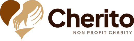 Citizens Information and Development Initiative (CIDI) 