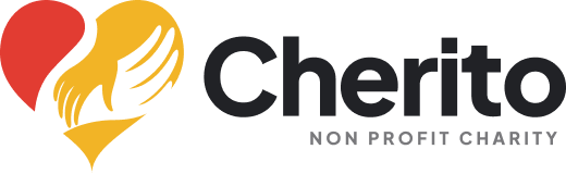 Citizens Information and Development Initiative (CIDI) 