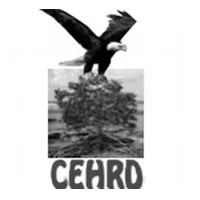 cehrdb cehrdb